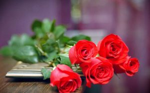 Mừng ngày phụ nữ việt nam, đàn ông giỏi hỏi về bếp