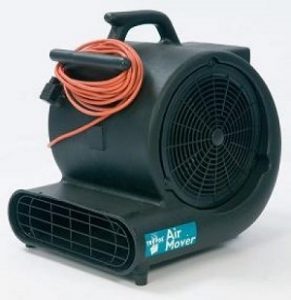 Thuê con sò thổi thảm tại Thành Phố HCM